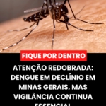 Atenção Redobrada: Dengue em Declínio em Minas Gerais, mas Vigilância Continua Essencial