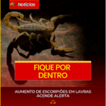 AUMENTO DE ESCORPIÕES EM LAVRAS ACENDE ALERTA