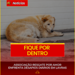 ASSOCIAÇÃO RESGATE POR AMOR ENFRENTA DESAFIOS DIÁRIOS EM LAVRAS