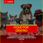 CASTRAÇÃO PREVINE DOENÇAS E AUMENTA A LONGEVIDADE DE CÃES E GATOS