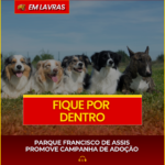 PARQUE FRANCISCO DE ASSIS PROMOVE CAMPANHA DE ADOÇÃO